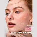 پالت رژگونه 3 رنگ شیگلم (SHEGLAM Sweet Cheeks Blush Trio) - Image 4