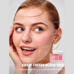 پالت رژگونه 3 رنگ شیگلم (SHEGLAM Sweet Cheeks Blush Trio) - Image 3