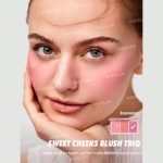پالت رژگونه 3 رنگ شیگلم (SHEGLAM Sweet Cheeks Blush Trio) - Image 5