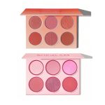 پالت رژگونه 6 رنگ شیگلم (Sheglam Floral Flush Blush Palette)