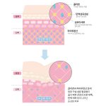 آمپول چند کاره کلاژن و هیالورونیک اسید فارم استی (Farmstay Collagen & Hyaluronic Acid All-in-One Ampoule) - Image 7