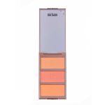 پالت رژگونه 3 رنگ میچانو شماره 410 (MICHANO Blush Palette No. MB410)
