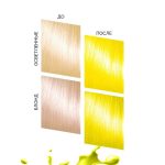 رنگ مو نیمه دائمی بد گرل مدل ارتعاش برقی (BAD GIRL Color Electric Vibe) - Image 6