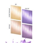 رنگ مو نیمه دائمی بد گرل مدل ملکه پری (BAD GIRL Color Fairy Queen) - Image 9