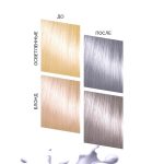 رنگ مو نیمه دائمی بد گرل مدل اژدهای یخی (BAD GIRL Color Ice Dragon) - Image 8